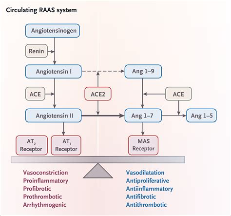 Prescription of renin‐angiotensin‐aldosterone system inhibitors .